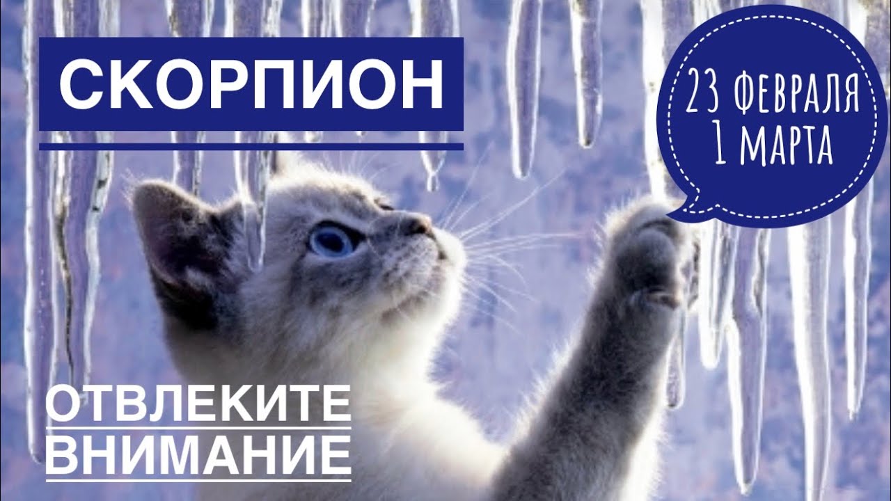 Скорпион ♏️ 23 февраля-1 марта 2026 🍀🔮✨🗝❤️ Таро Ленорман прогноз 
