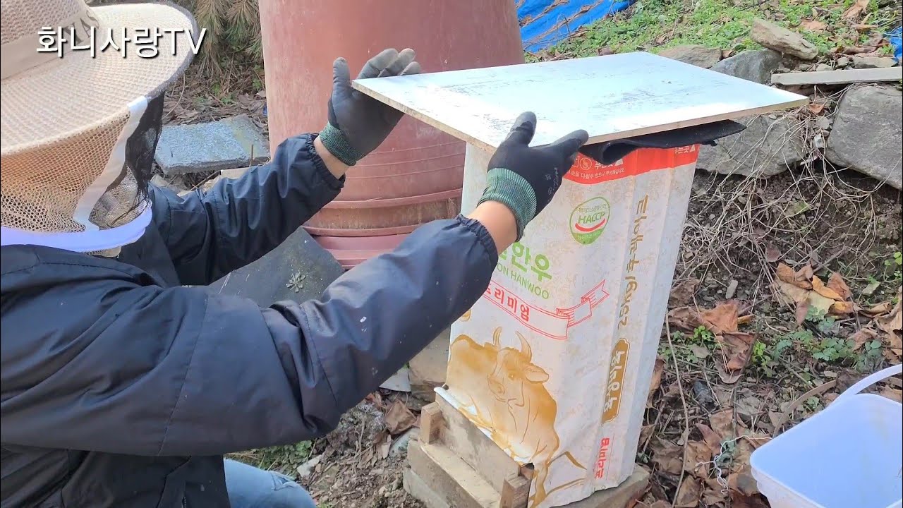 토종벌 월동군 겨울나기(사료포대 씌워주기)