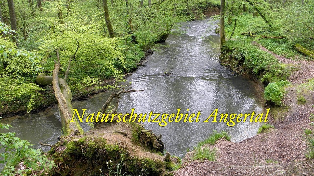 Ratingen - Naturschutzgebiet Angertal