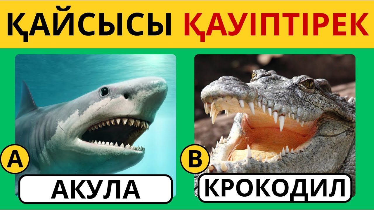 ЖАНУАРЛАРДЫ ҚАНШАЛЫҚТЫ ЖАҚСЫ БІЛЕСІҢ?✅ 30 СҰРАҚ 😎🧠/ БІЛІМ QUIZ 2026