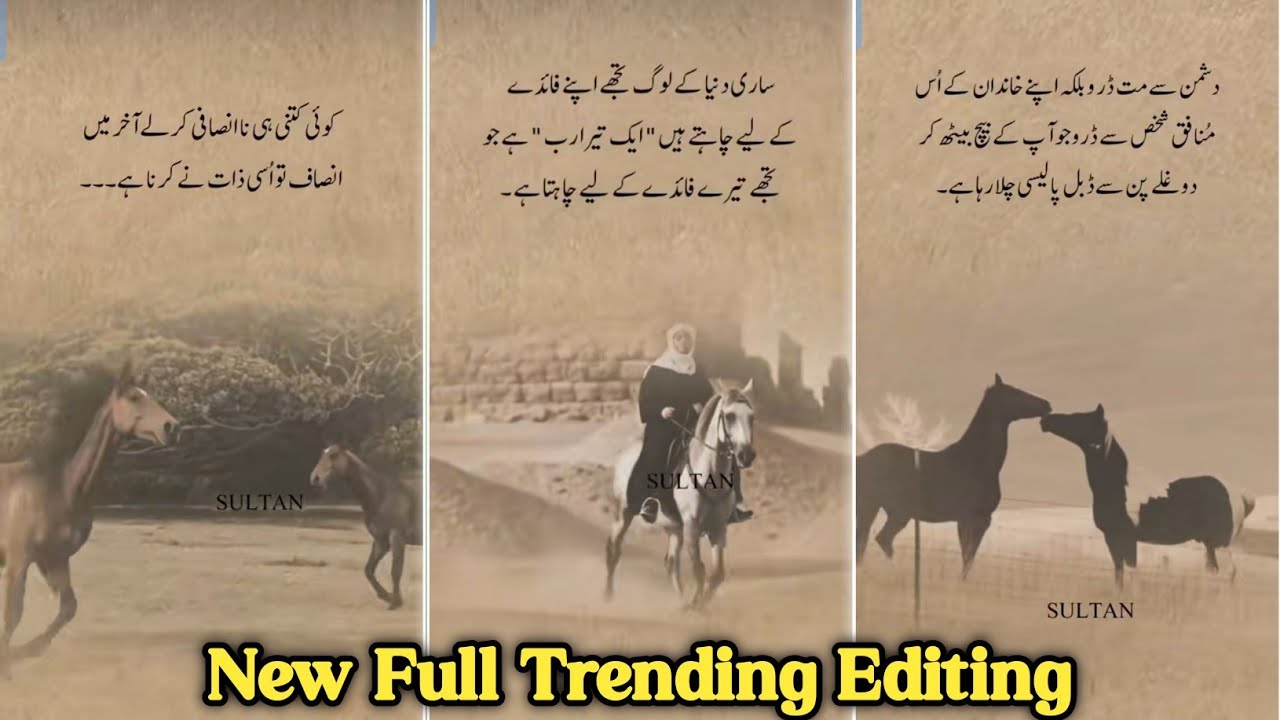 Black Horse Riding Poetry Video | Emotional Urdu Status 4K