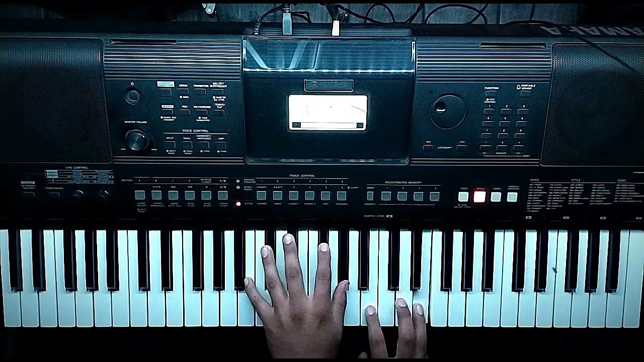 Rammstein - Reise Reise Keyboard Cover