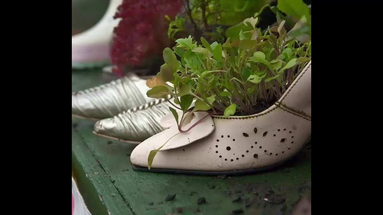 Ideas de diseño de jardín creativo