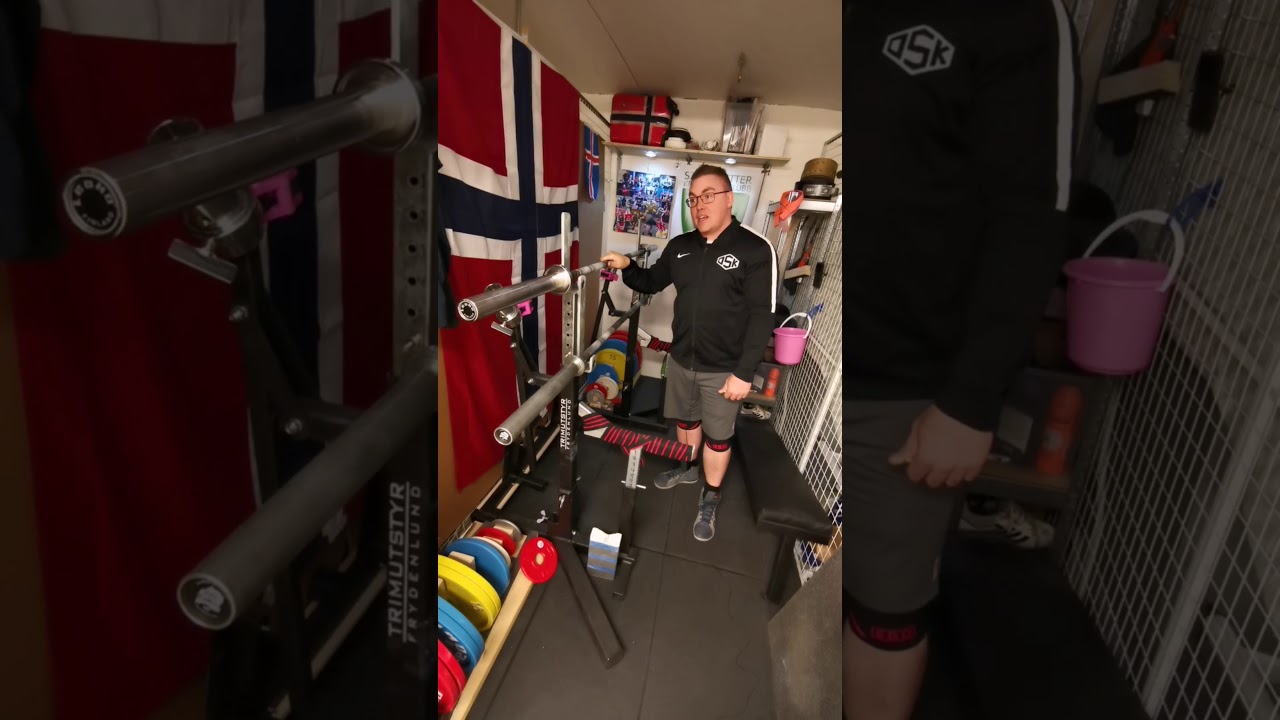 Leoko powerliftingbar vs Rogue Ohio Powerbar