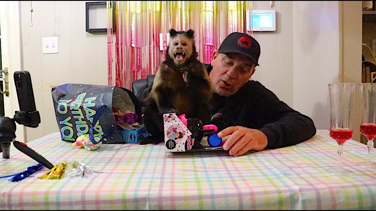 Monkey Princess Birthday Bag and a Toast!
