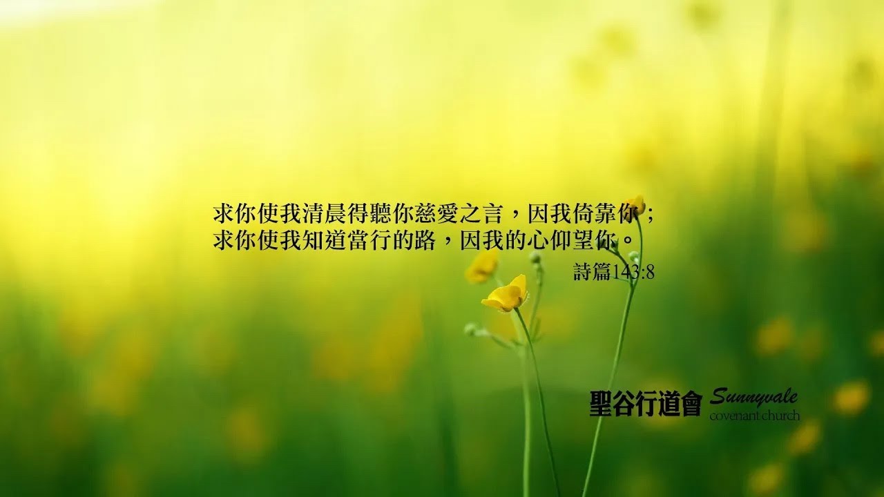 20260202 晨更信息 吳文朗牧師 太  Mat 9 :14-26