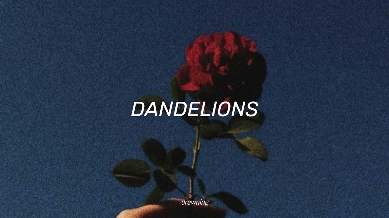 Dandelions - Ruth B // (slowed + reverb) // (tiktok song)