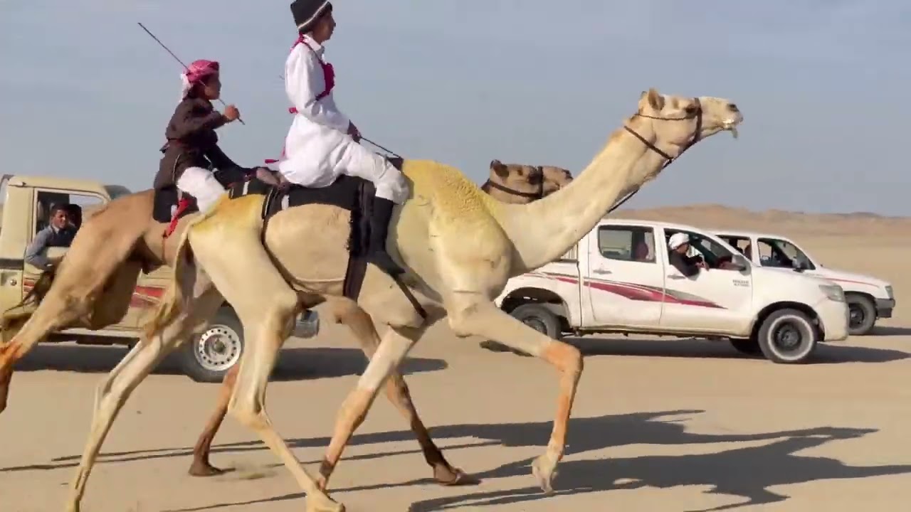 تبرعة مركاض الرمضه بمناسبة حصول سليمان معوض ع المليون المركز الاول  سالم سليمان الحويطي