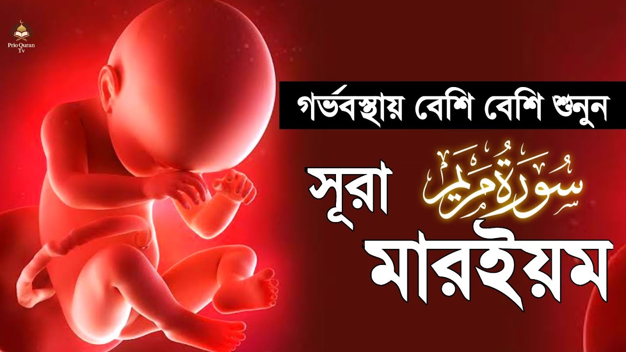 গর্ভবস্থায় বেশি বেশি শুনুন সূরা মারইয়ম তিলাওয়াত | Surah Maryam Tilawat | quran tilawat | Alaa Aqel 