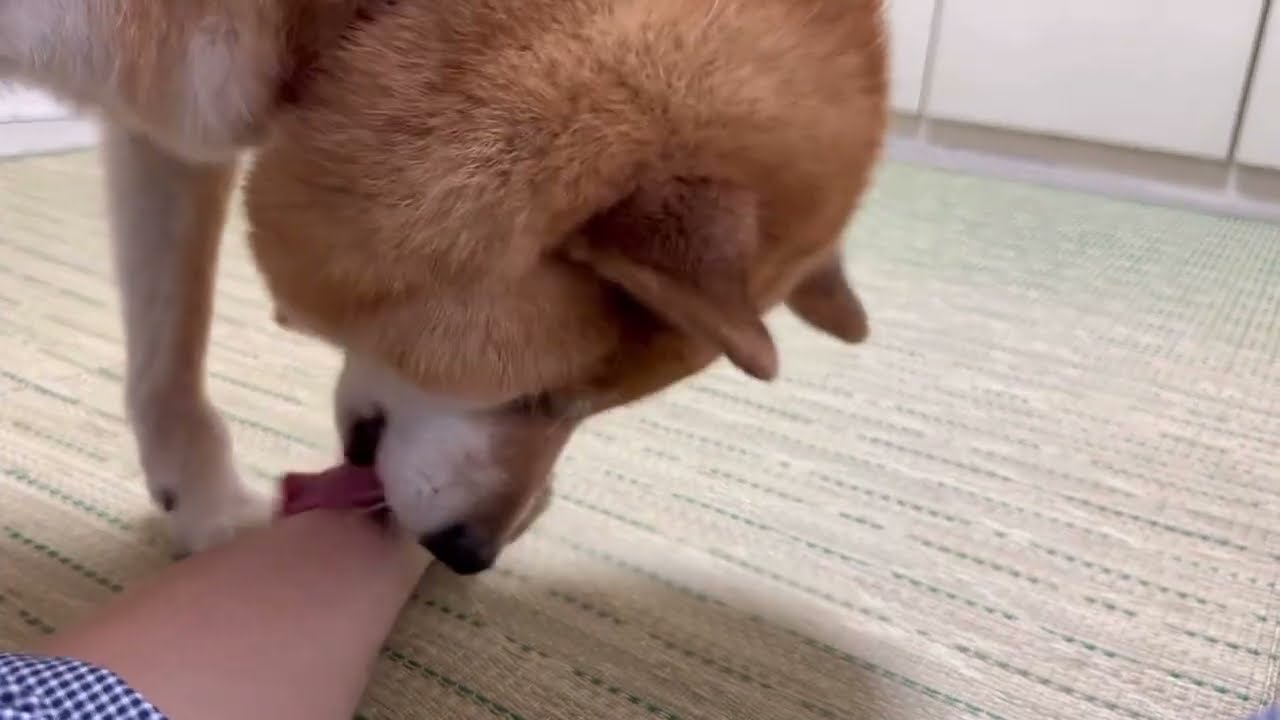 【愛情表現】久しぶりの再会です。