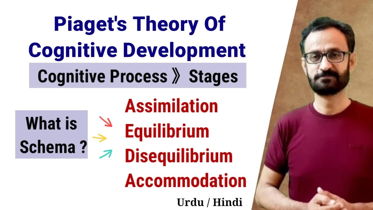 Piaget Cognitive Development Theory || Piaget Stages of Development || CTET 2024 || CDP