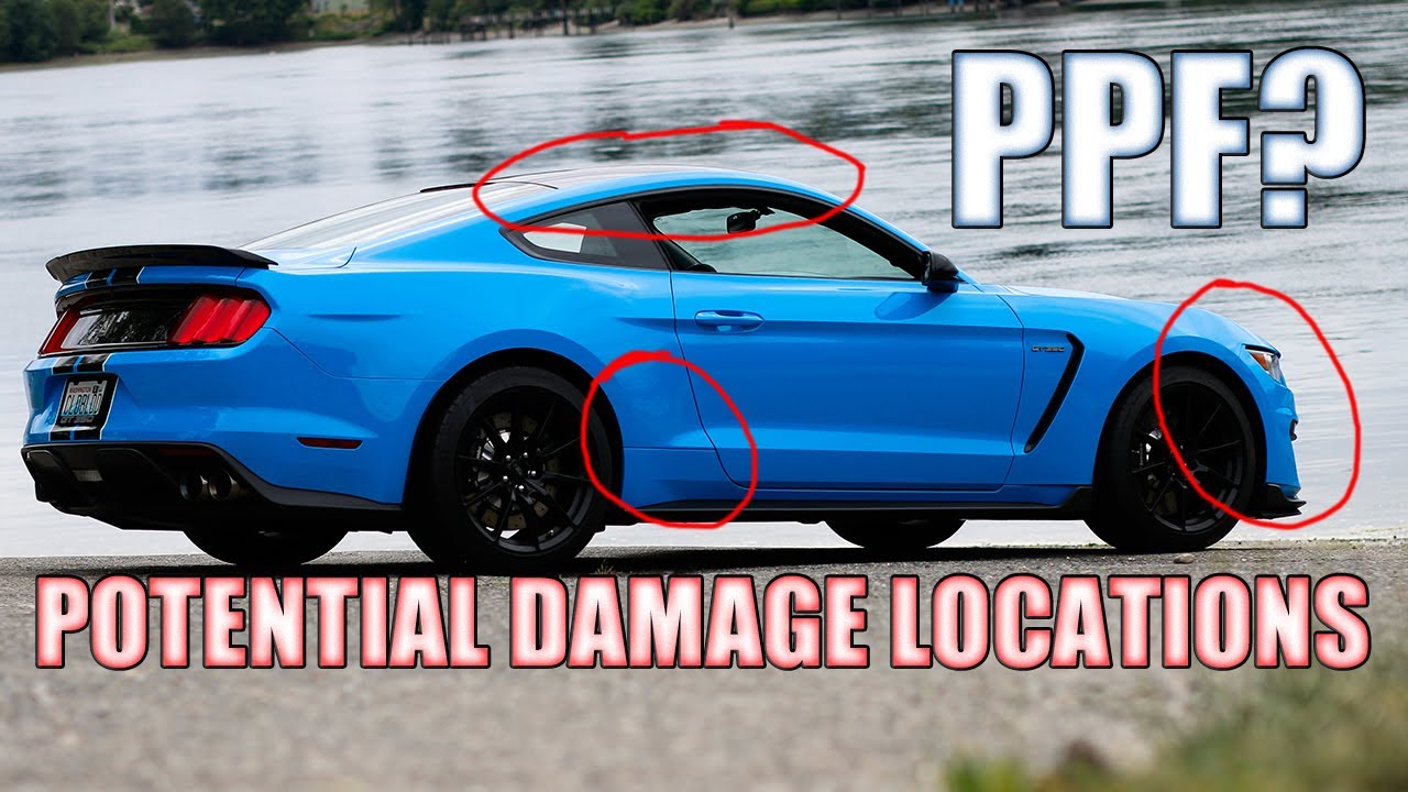 Why and WHERE you need PPF on an S550 Mustang/GT350