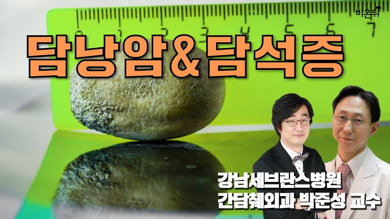 [메디텔] 담낭암과 담석증(박준성 교수&홍혜걸 박사)
