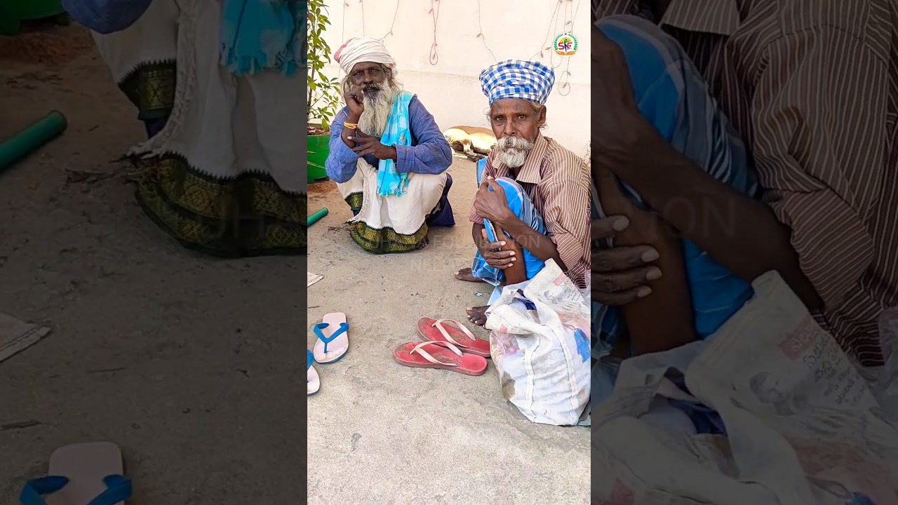 Helping Video | Food Distribution To Poor | Helping Poor People Shorts | Feeding Poor People #shorts