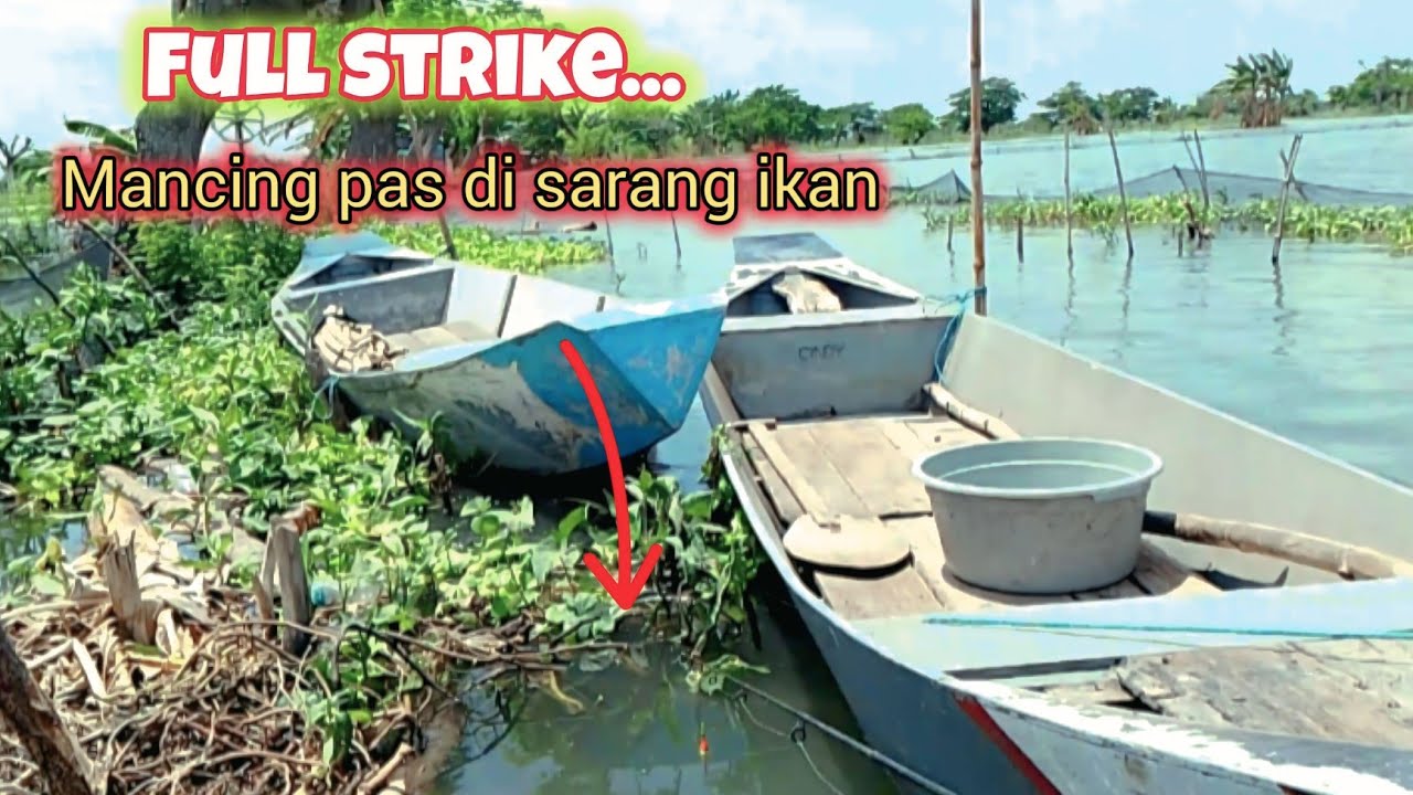 Pemancing manapun pasti betah, Bila nemu spot segacor ini..full strike..