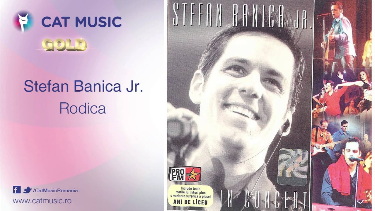 Stefan Banica Jr. - Rodica (live)