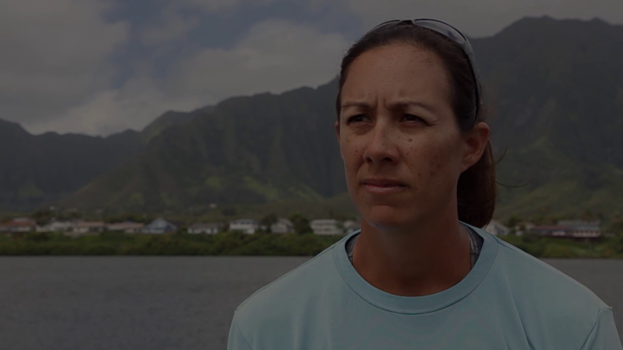 Honolulu Star-Advertiser: Bringing You What Matters
