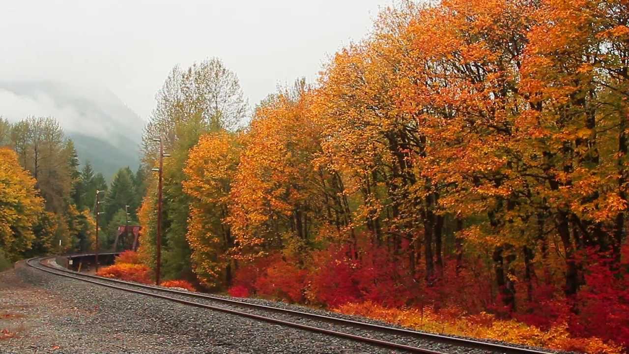 Autumn Foliage in Washington State 2012