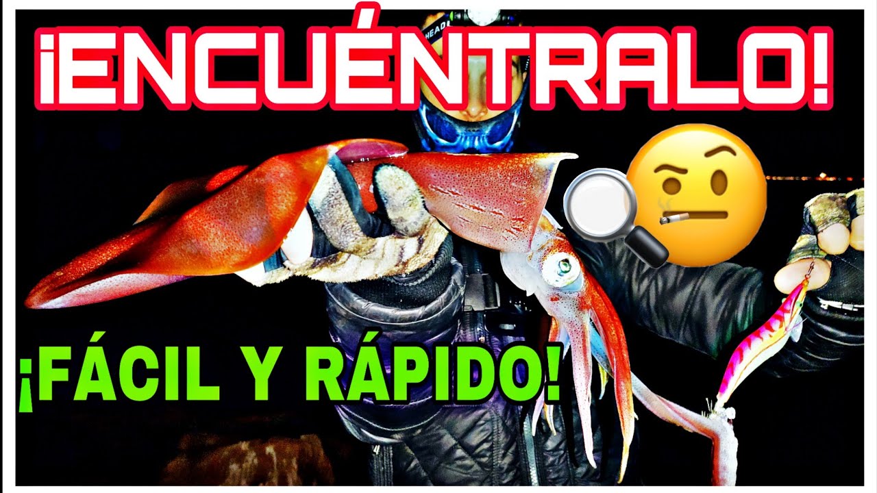 𝘾𝙊́𝙈𝙊 𝙀𝙉𝘾𝙊𝙉𝙏𝙍𝘼𝙍 los 𝙈𝙀𝙅𝙊𝙍𝙀𝙎 𝙎𝙄𝙏𝙄𝙊𝙎 para 𝙋𝙀𝙎𝘾𝘼𝙍 𝘾𝘼𝙇𝘼𝙈𝘼𝙍𝙀𝙎 ✅[EGING]🦑