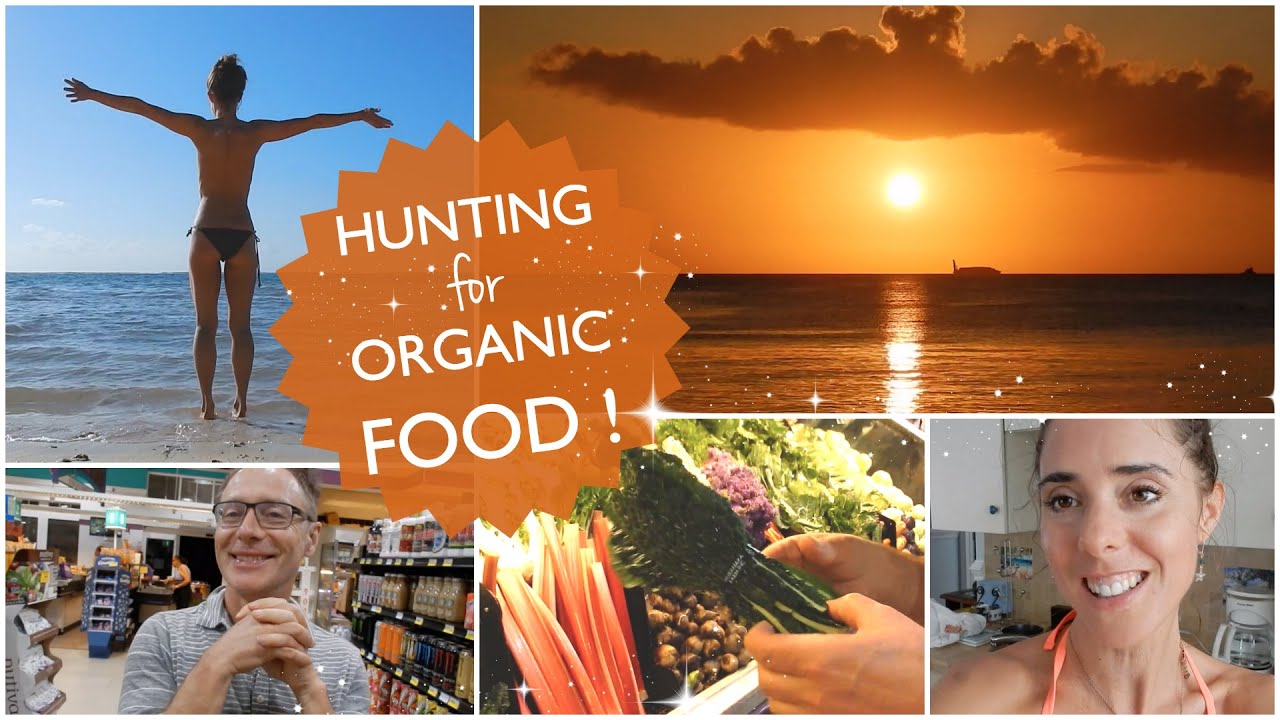 HUNTING FOR ORGANIC FOOD