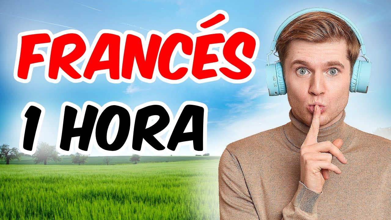 BASES DEL FRANCÉS  😴 Domina lo Básico en Solo 1 Hora