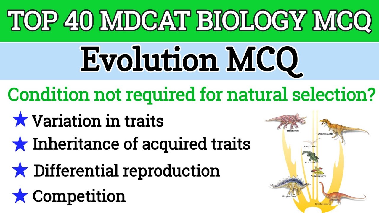 40 Evolution MCQ for Entry Test l MDCAT 2025 MCQ | Chapter Wise Biology MCQ