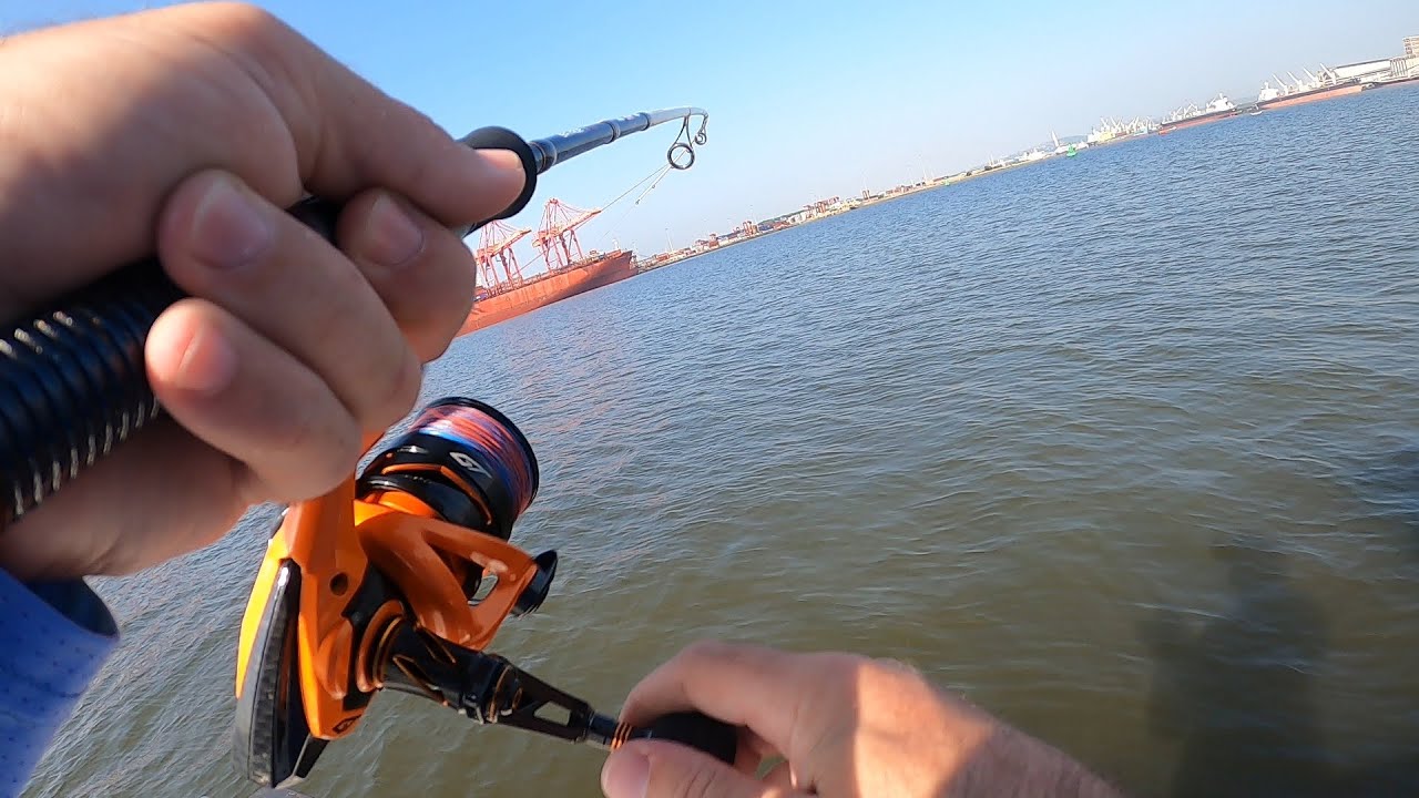 Fishing Durban Harbour and catching edibles.
