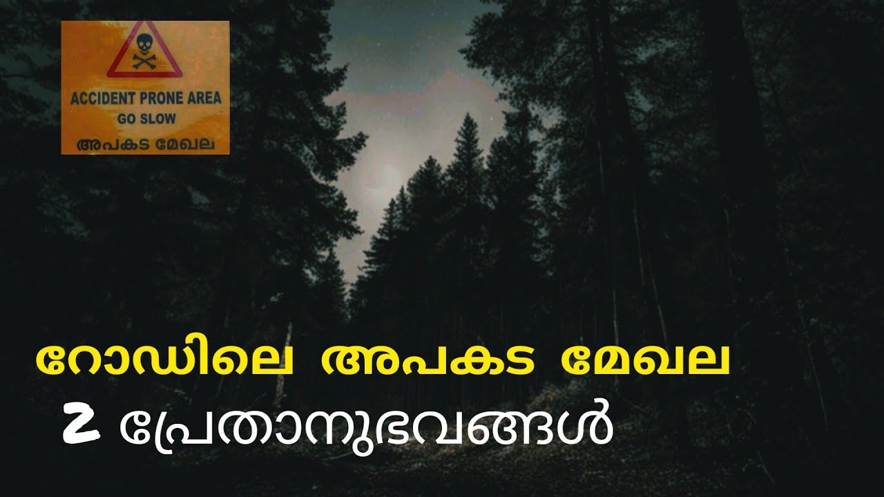 റോഡിൽ നിന്നും ആരംഭിച്ച പ്രേതാനുഭവങ്ങൾ | malayalam horror stories | bedtime story | mallu nightmare
