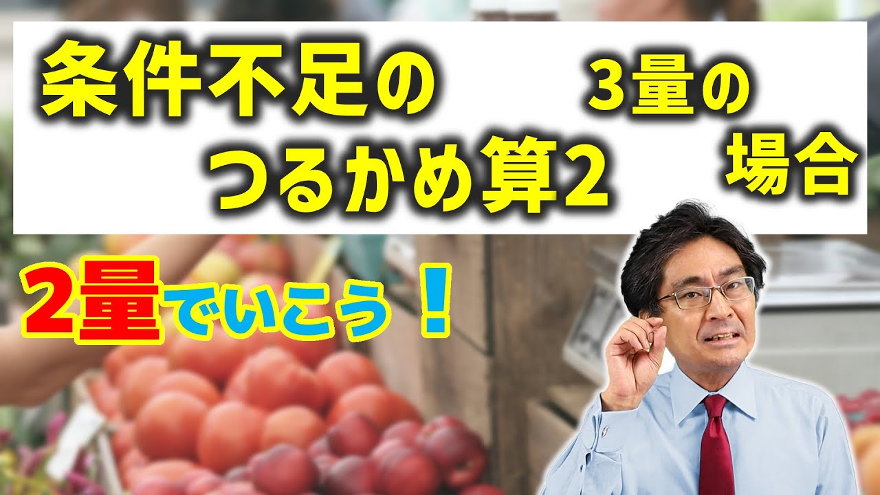 3量の条件不足のつるかめ算に挑戦！【中学受験　算数】（不定方程式2)