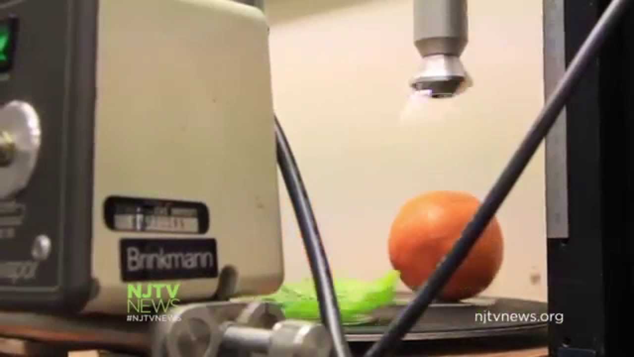 Rutgers Researchers Use Cold Plasma to Prevent Food Poisoning