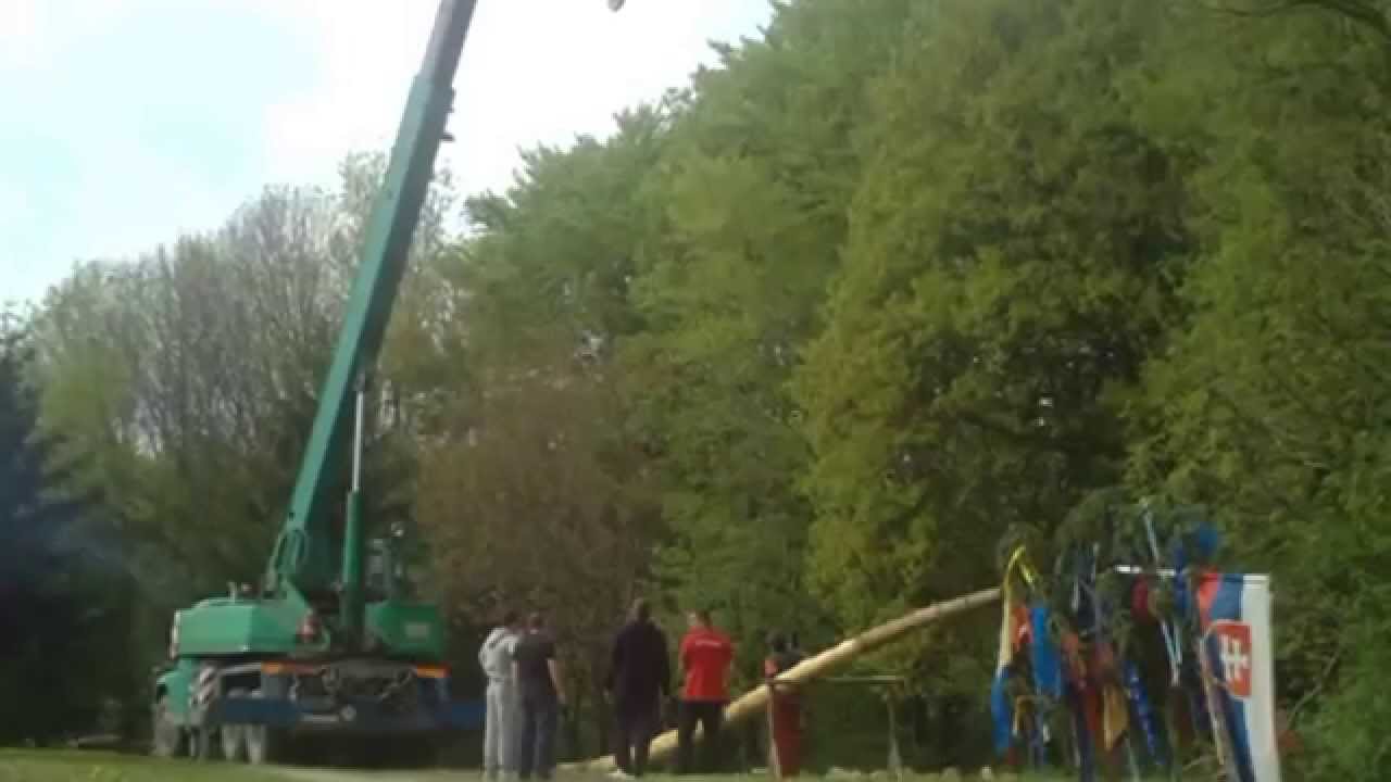 Tradičné stavanie Mája na Polianke