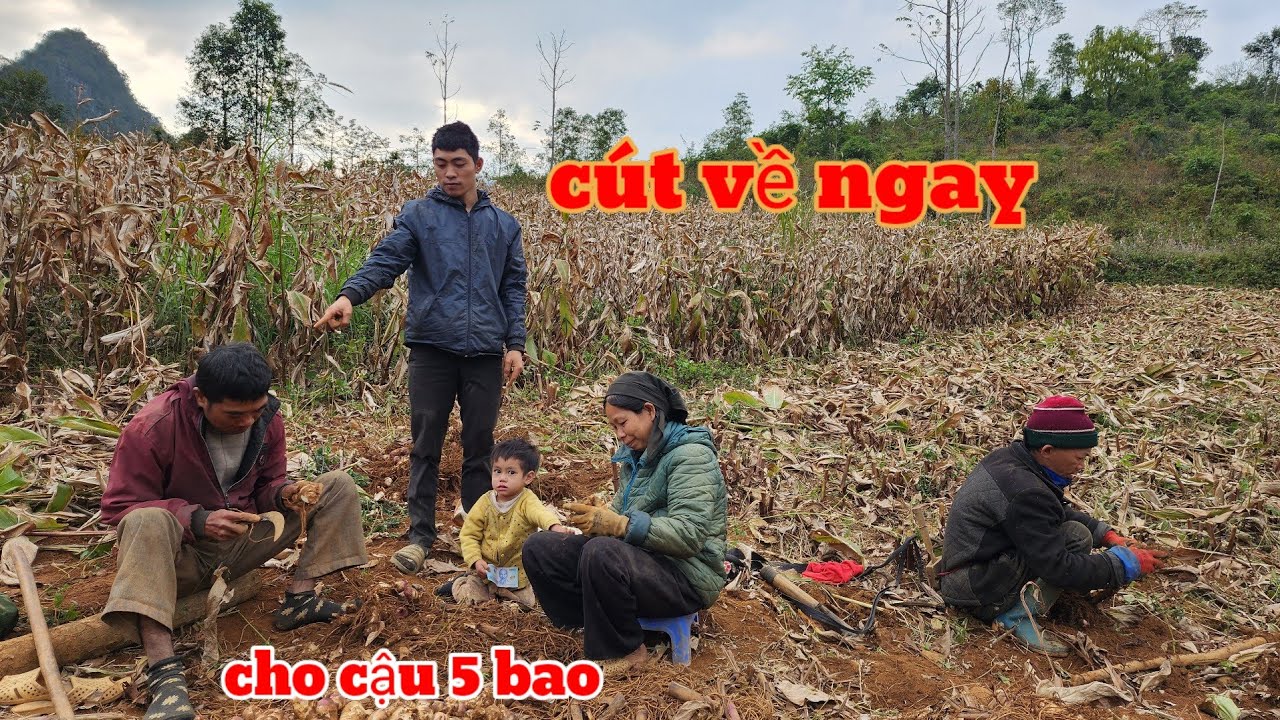 E Phong Bất Lực Ông Cậu Ma Men Có Ăn Thì Tìm Về Đòi Nhập Khẩu Xin Ở Lại 