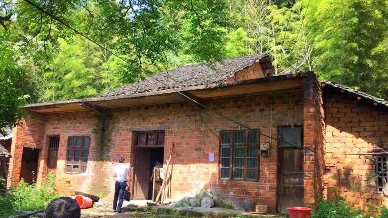 Despite his wife's objections ~ The man insisted on renovating the abandoned house in the forest