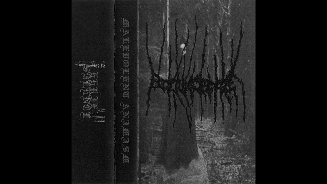 Black Wilderness - Malevolent Animism (2016)