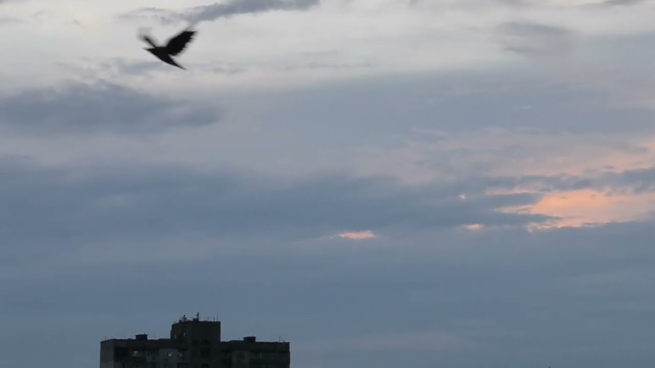 Александр Блок - Всё настоящее ничтожно (CHILLOUTPOETS by O.G.)