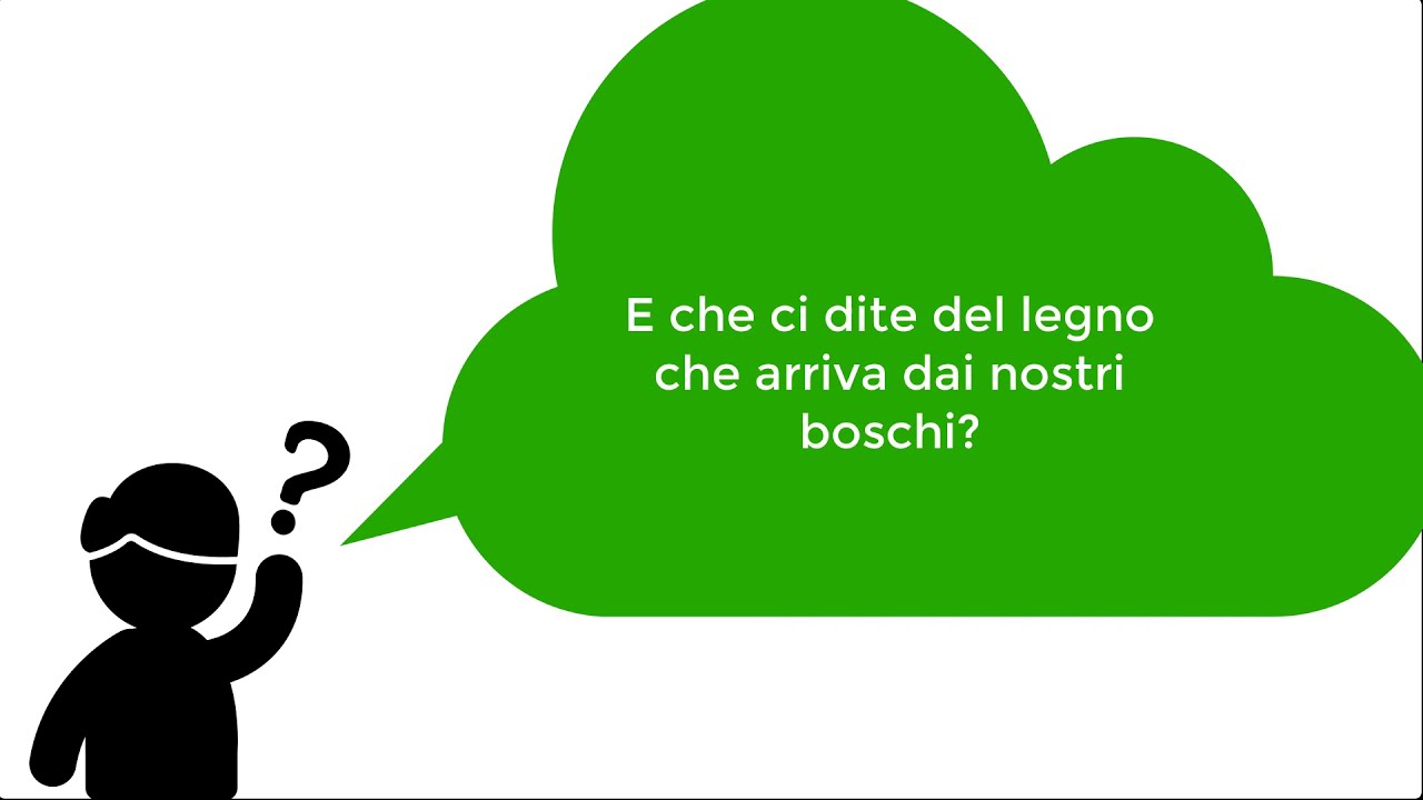 Foreste, Selvicoltura e Legno