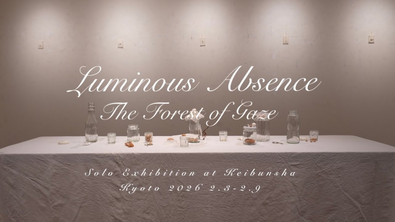 [ 京都 美術 ]  展覧会「透明な手つき」 ─ まなざしの森で、光を祝福した七日間 ✶ Solo Exhibition in Kyoto