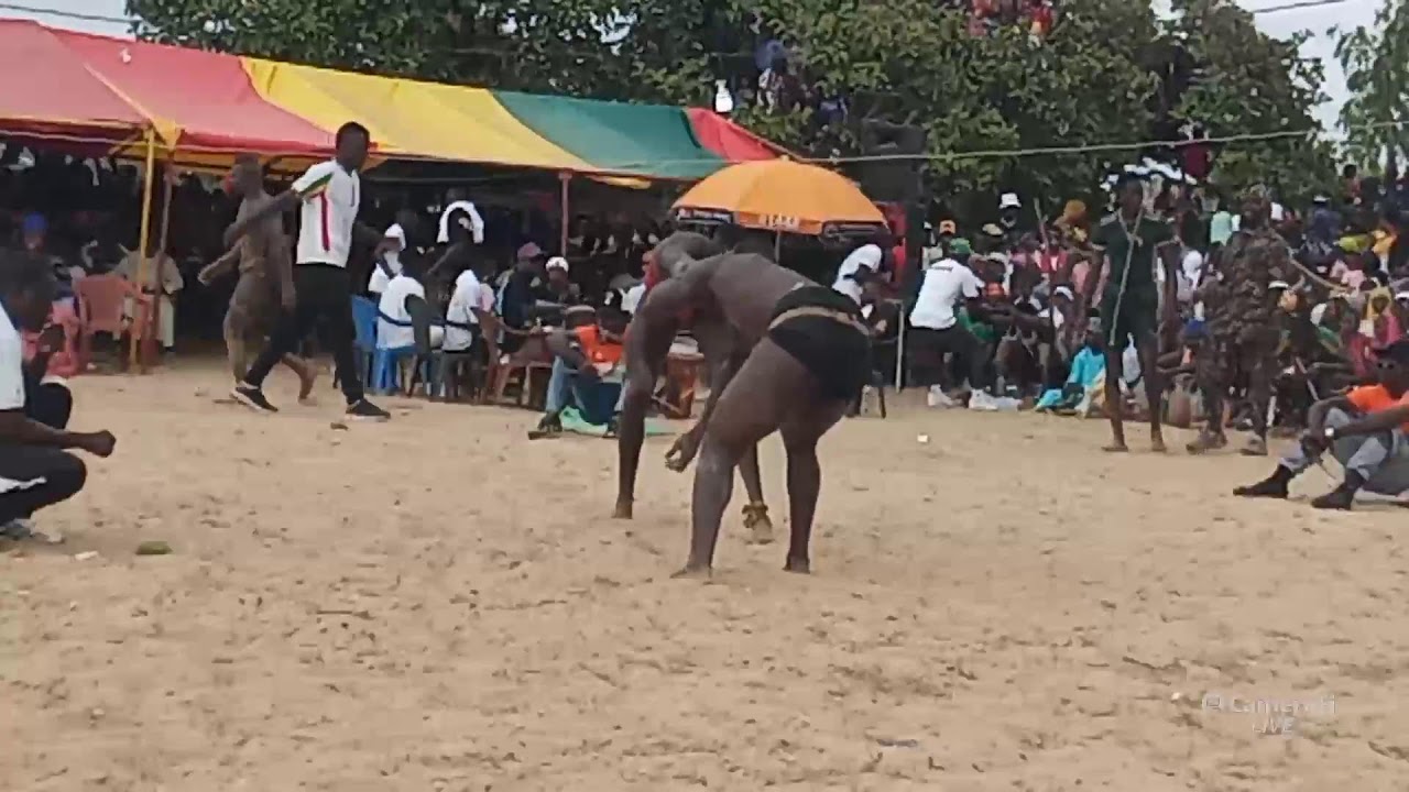 Gandoun TV's Bassoul