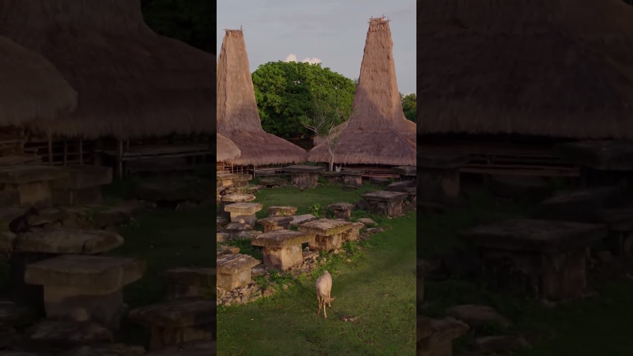 Sumba &ndash; Remote Island of Culture and Beaches #Sumba #IslandCulture #HiddenParadise #IndonesiaTravel