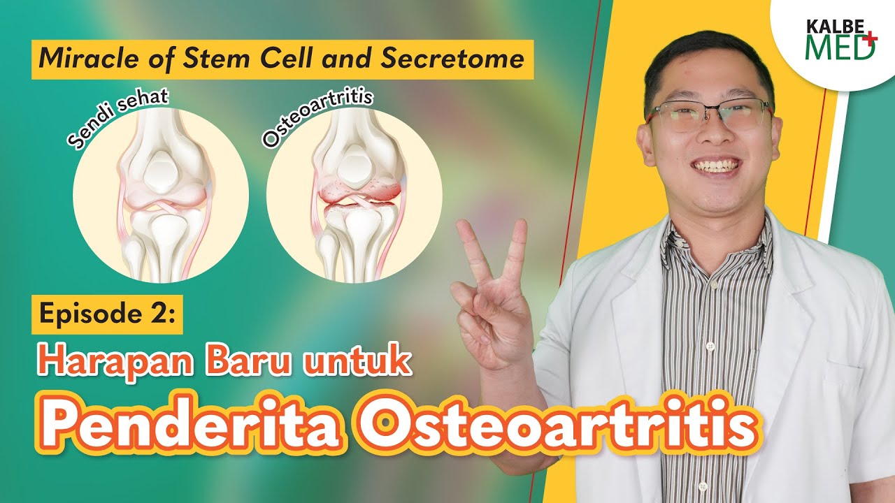 Miracle of Stem Cell and Secretome Episode 2: Harapan Baru untuk Penderita Osteoartritis