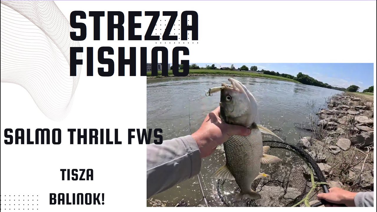 Pergetés a Tiszán - ez az új Salmo Thrill FWS  vonzza a jó balinokat | Strezza Fishing