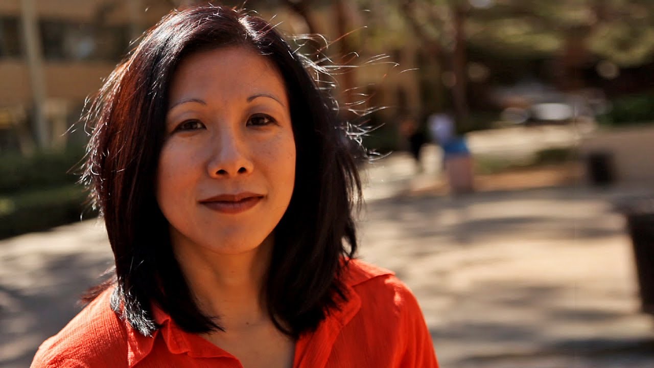 Mimi Ito on Learning in Social Media Spaces: Big Thinkers