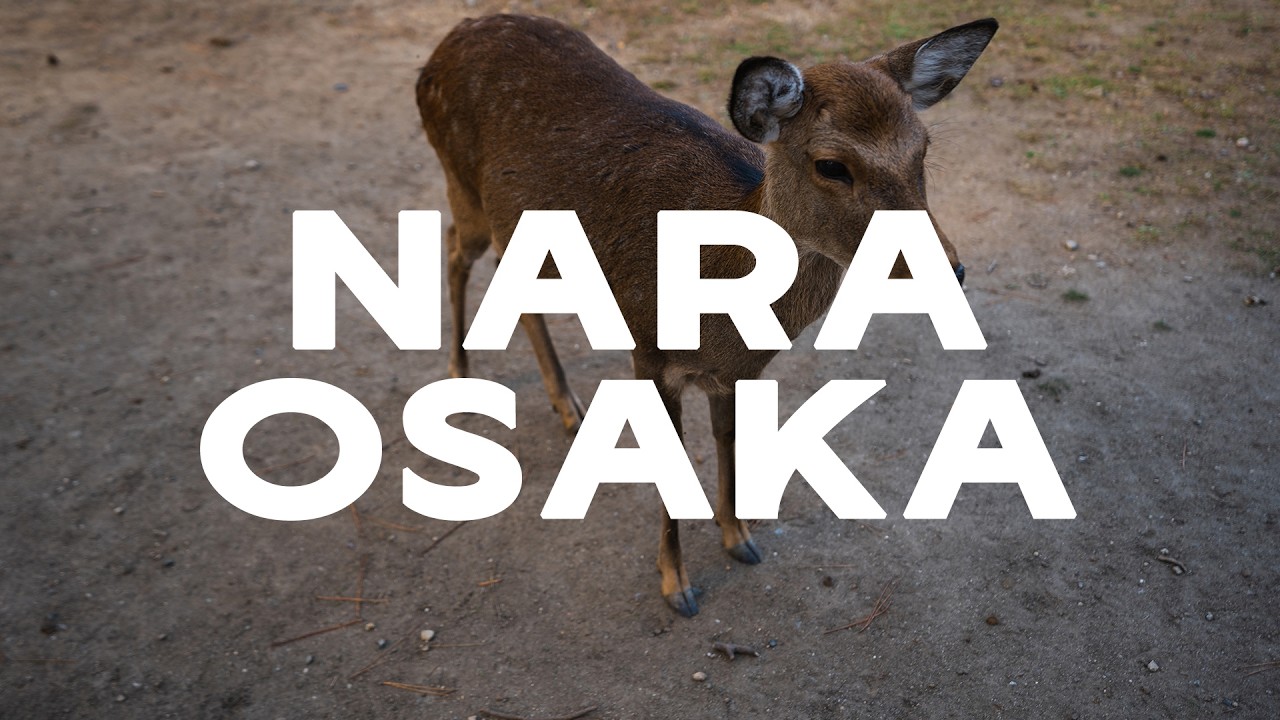 Osaka - Nara (Japon )