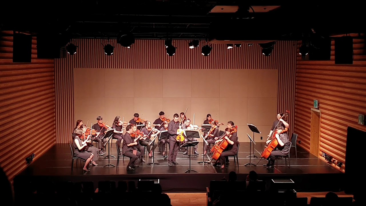 G. Ph. Telemann Viola Concerto 4mov. Presto  [박용은/I.M strings]