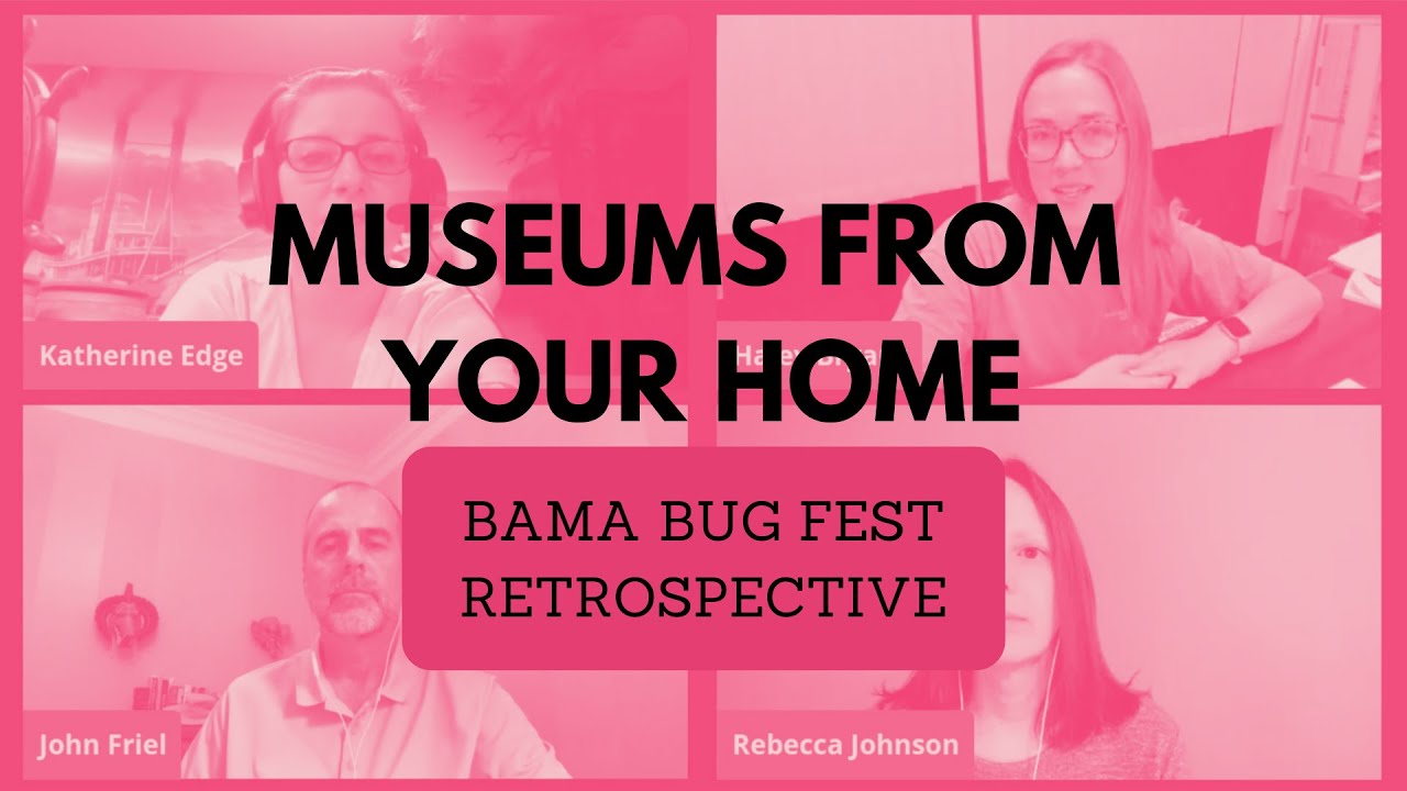 Museums From Your Home: Bama Bug Fest Retrospective