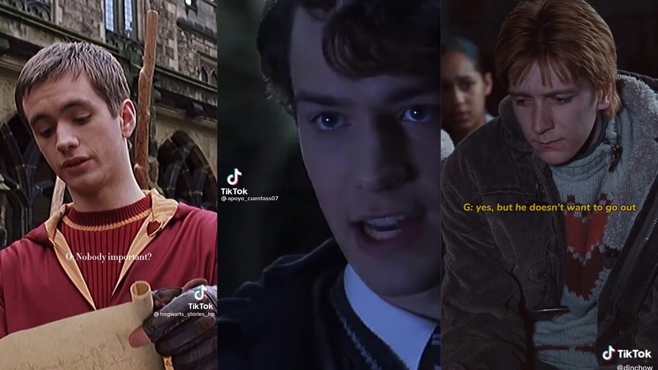 Harry Potter Boys x Y/N TikTok POV