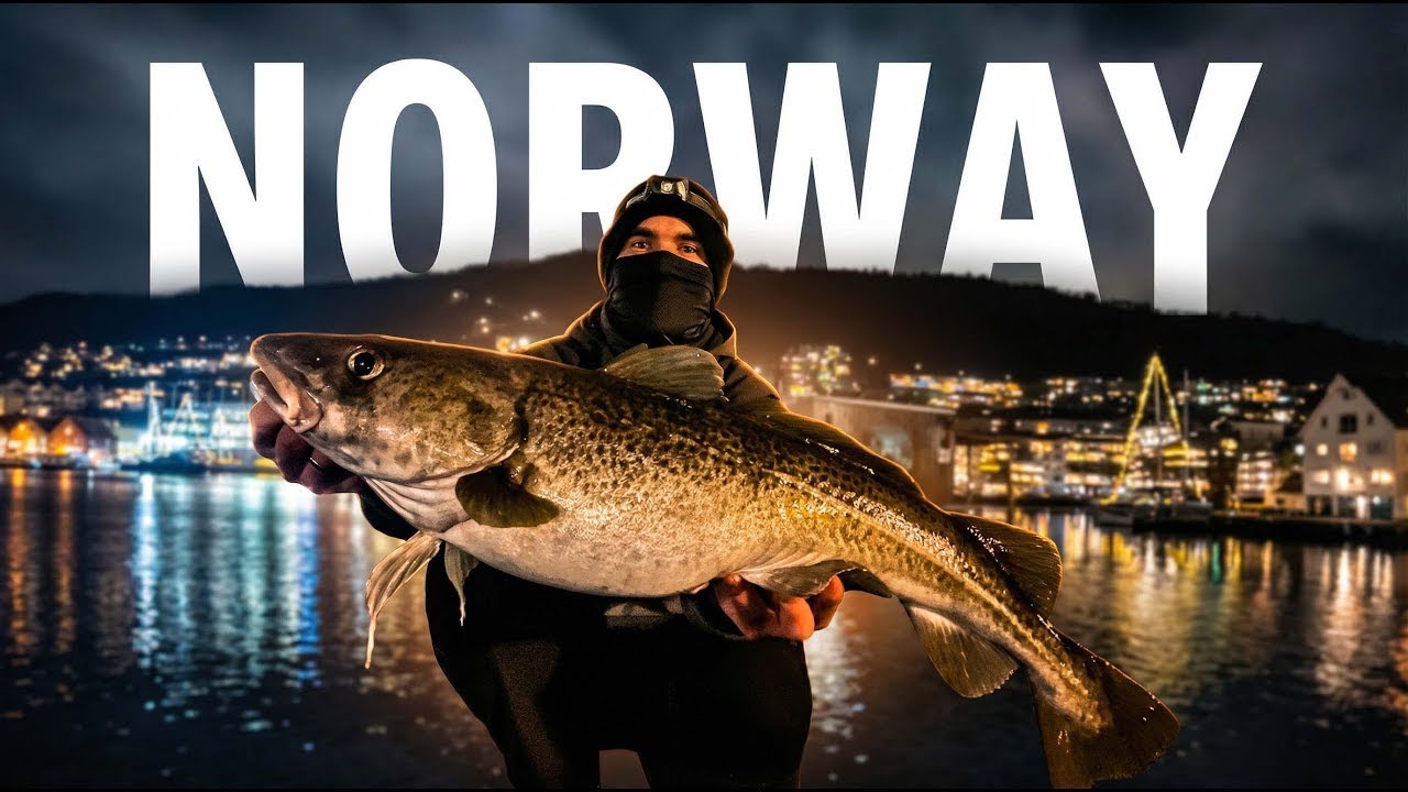 Fishing trip in Norway / Spinning fishing Norway  / Cod fish