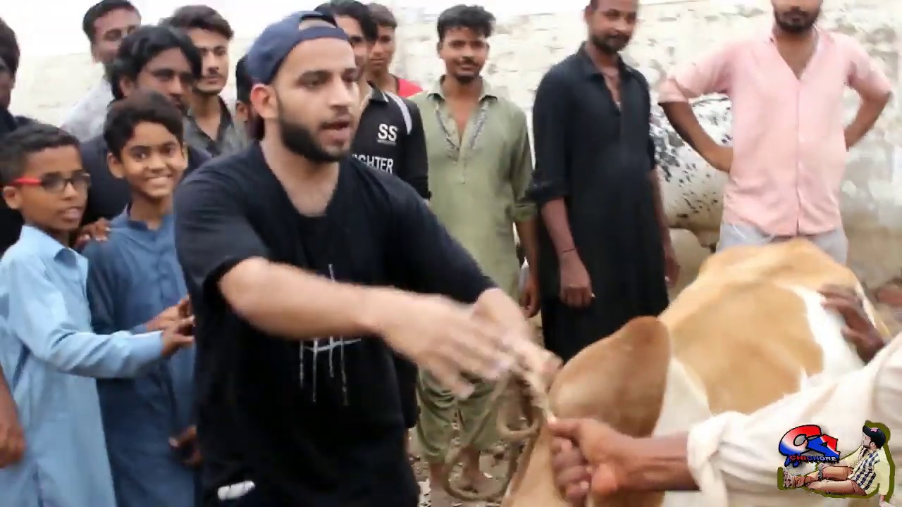 Gaiy qiston mai prank by !HASSAN RAZA! in #c4chichora in pakistan