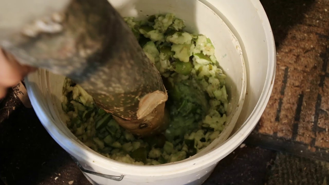 Apples or pears crushing.