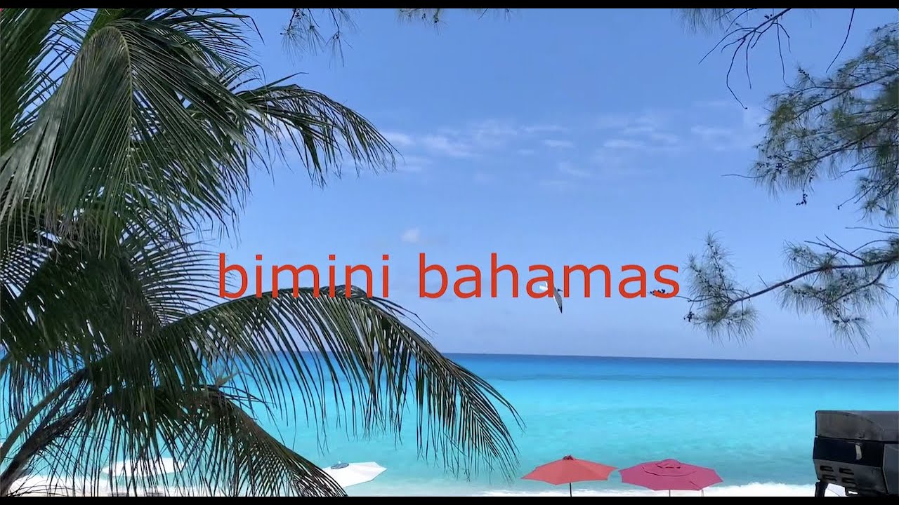 2021 first trip to bimini Bahamas after 18 months EP-72